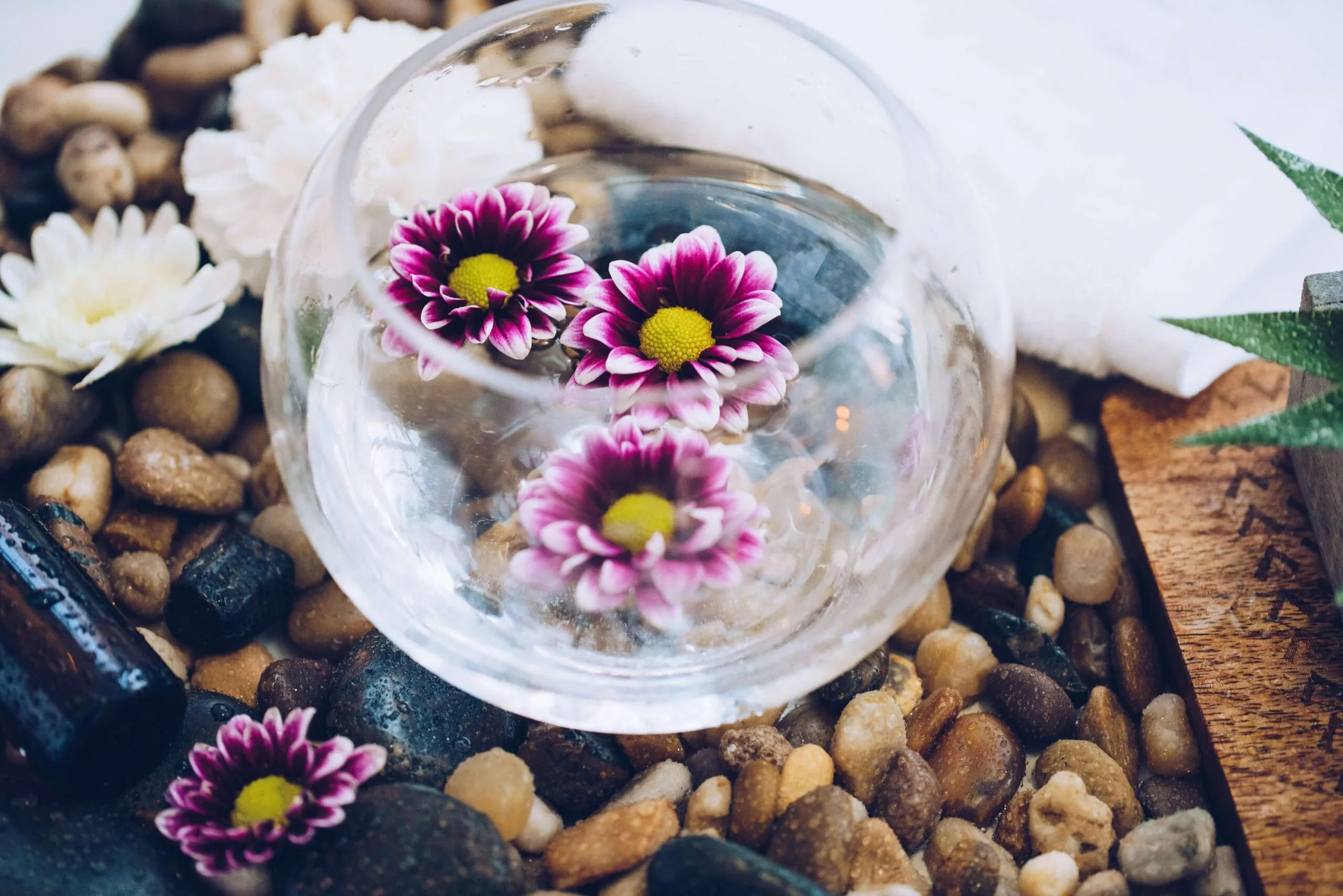 Fleurs violettes, galets, eau pour symboliser les bienfaits du magnétisme contre le stress et l'anxiété
